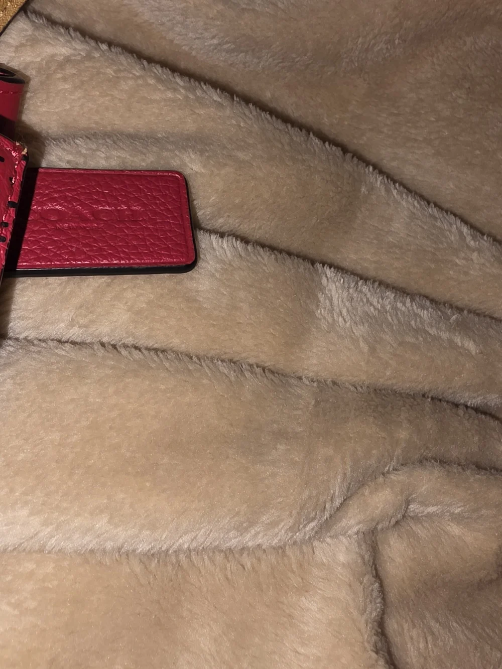 Coach disney leather